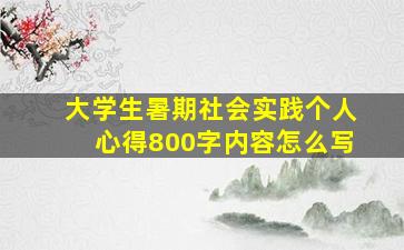 大学生暑期社会实践个人心得800字内容怎么写