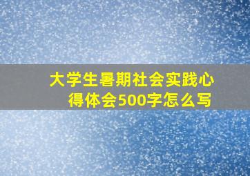 大学生暑期社会实践心得体会500字怎么写