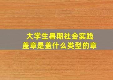 大学生暑期社会实践盖章是盖什么类型的章