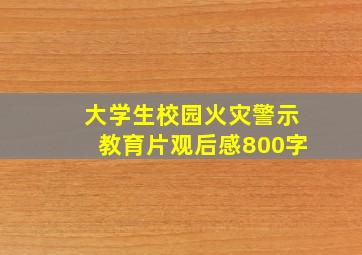 大学生校园火灾警示教育片观后感800字