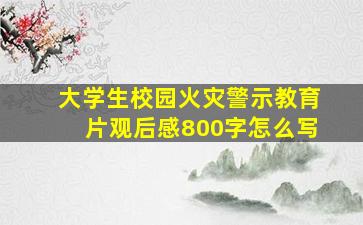 大学生校园火灾警示教育片观后感800字怎么写