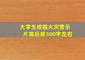 大学生校园火灾警示片观后感300字左右