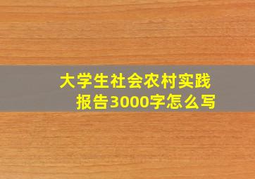 大学生社会农村实践报告3000字怎么写