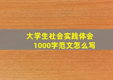 大学生社会实践体会1000字范文怎么写