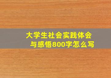 大学生社会实践体会与感悟800字怎么写