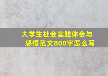 大学生社会实践体会与感悟范文800字怎么写