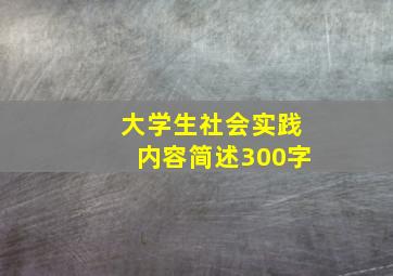 大学生社会实践内容简述300字