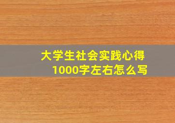 大学生社会实践心得1000字左右怎么写