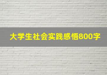 大学生社会实践感悟800字