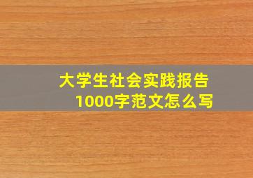 大学生社会实践报告1000字范文怎么写