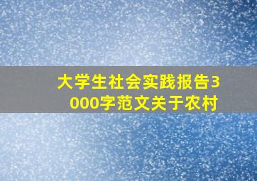 大学生社会实践报告3000字范文关于农村