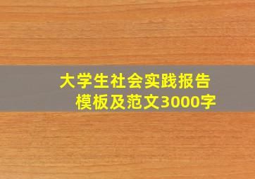 大学生社会实践报告模板及范文3000字