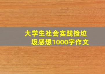 大学生社会实践捡垃圾感想1000字作文