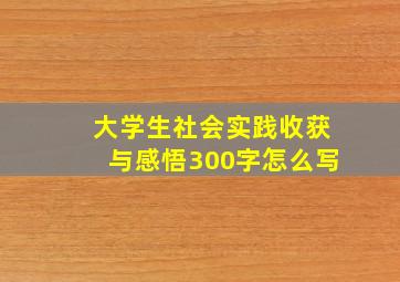 大学生社会实践收获与感悟300字怎么写