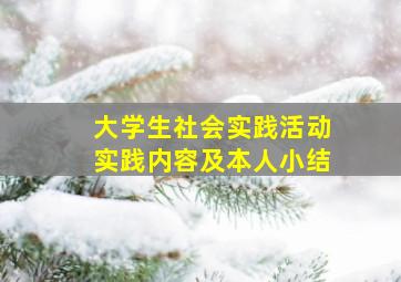 大学生社会实践活动实践内容及本人小结