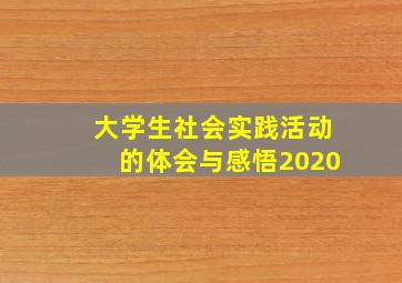 大学生社会实践活动的体会与感悟2020