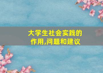 大学生社会实践的作用,问题和建议