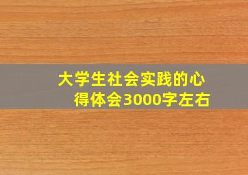 大学生社会实践的心得体会3000字左右