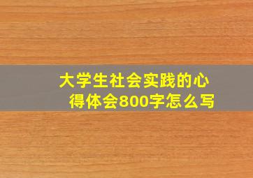 大学生社会实践的心得体会800字怎么写