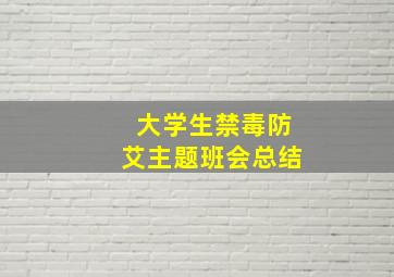 大学生禁毒防艾主题班会总结