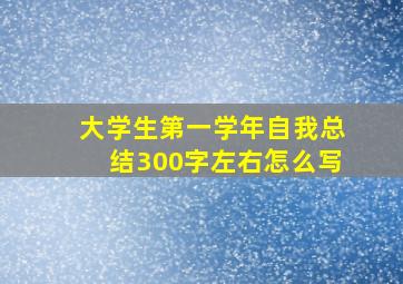 大学生第一学年自我总结300字左右怎么写