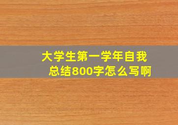 大学生第一学年自我总结800字怎么写啊