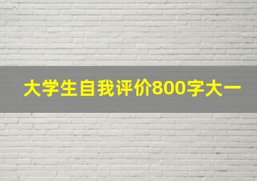 大学生自我评价800字大一