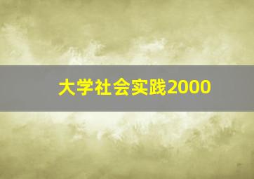 大学社会实践2000