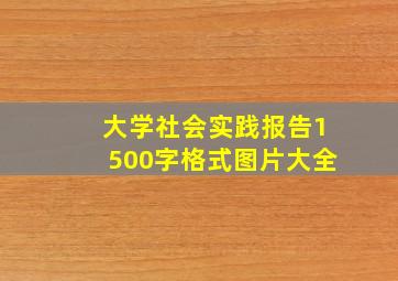 大学社会实践报告1500字格式图片大全