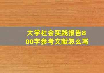 大学社会实践报告800字参考文献怎么写