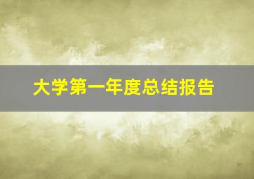 大学第一年度总结报告