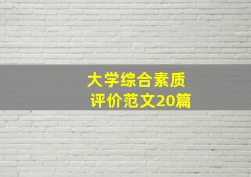 大学综合素质评价范文20篇