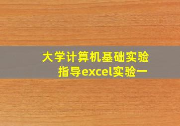 大学计算机基础实验指导excel实验一