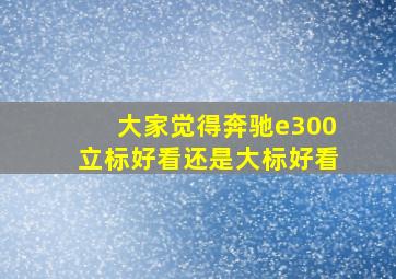 大家觉得奔驰e300立标好看还是大标好看