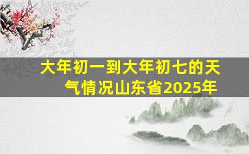 大年初一到大年初七的天气情况山东省2025年