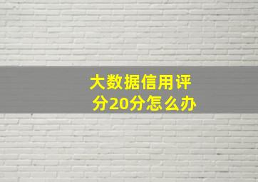 大数据信用评分20分怎么办