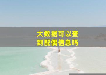 大数据可以查到配偶信息吗