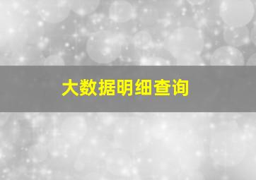 大数据明细查询