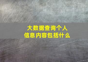 大数据查询个人信息内容包括什么