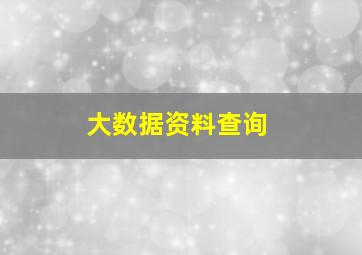 大数据资料查询