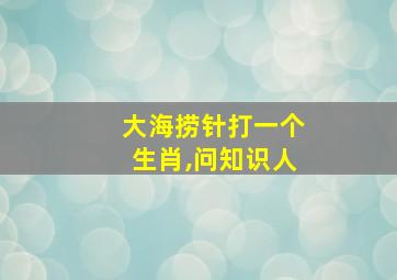 大海捞针打一个生肖,问知识人