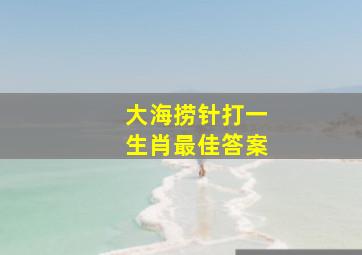 大海捞针打一生肖最佳答案