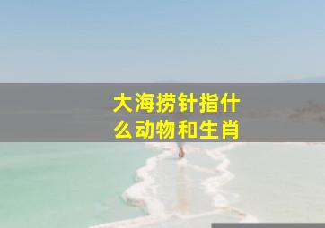 大海捞针指什么动物和生肖