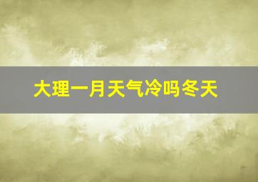 大理一月天气冷吗冬天