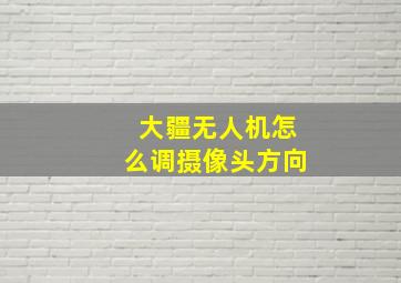 大疆无人机怎么调摄像头方向