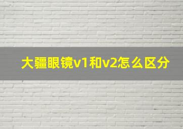 大疆眼镜v1和v2怎么区分