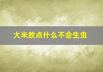 大米放点什么不会生虫