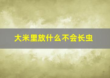 大米里放什么不会长虫