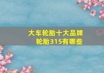 大车轮胎十大品牌轮胎315有哪些