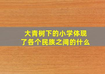 大青树下的小学体现了各个民族之间的什么